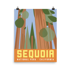 National Park Poster - Sequoia